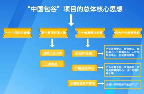 株洲推動食品與包裝產業對接，億元級標桿項目落地的全流程策劃與服務實踐